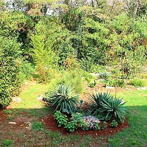Jelena , Poreč Kroatien